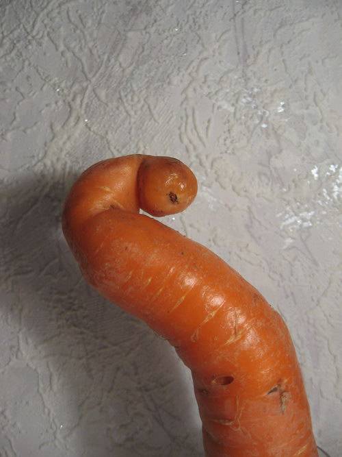 ��, �������!