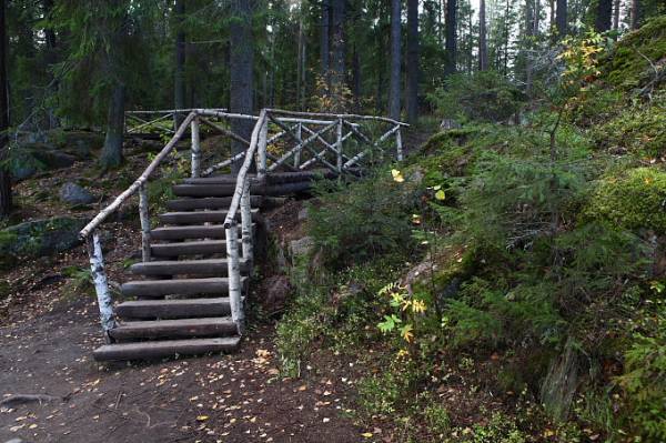 �������. ������