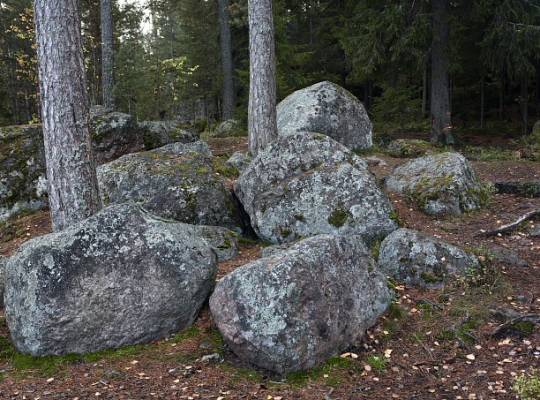 �������. ������