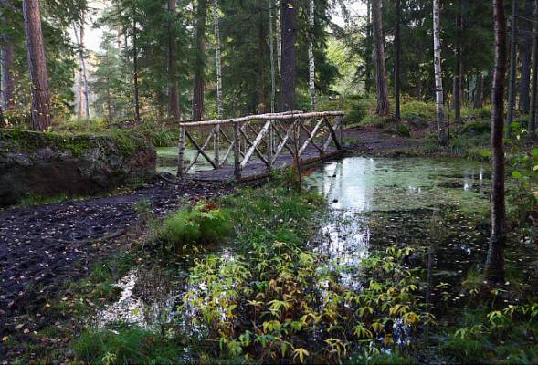 �������. ������