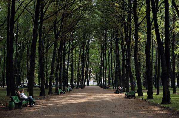 ������ ���