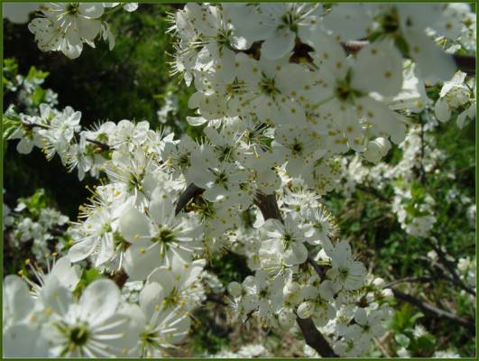 ���� � �����.