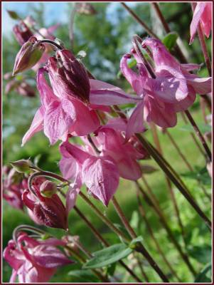 ���������.