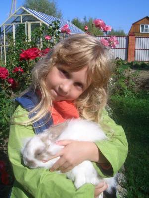 � ������ ������