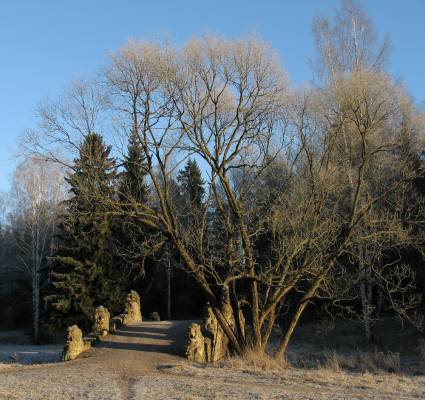 ��������������� ����