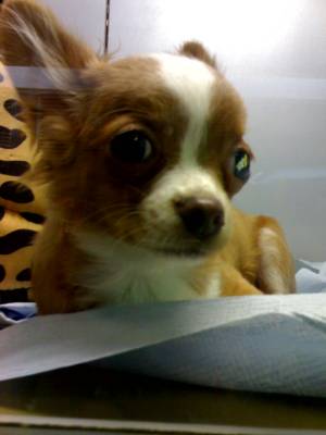 ���� ����