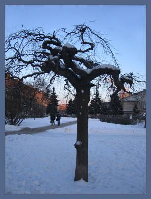 ��������� ������.