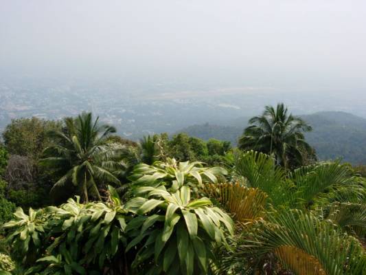 ��� �� �����