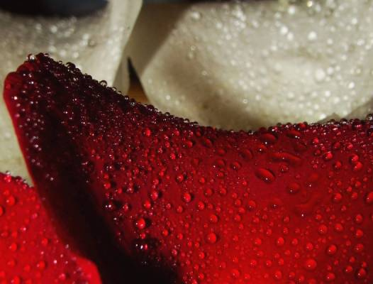 �������� �� ��������...