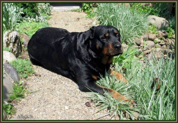 �������.