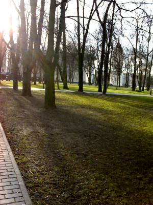 light