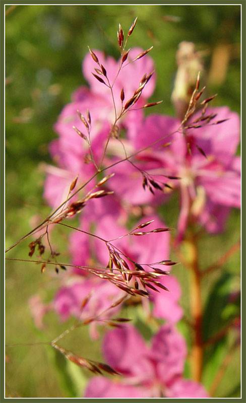 �� ���� ����-���.