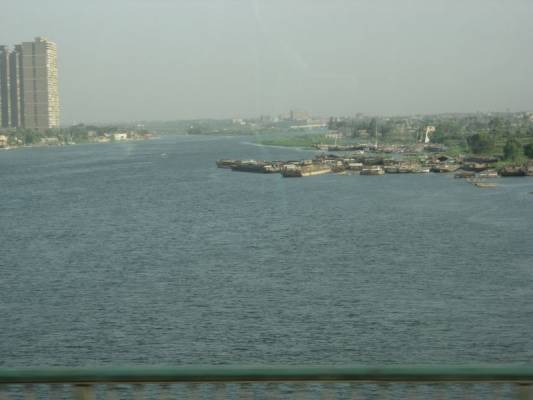 ������ ����