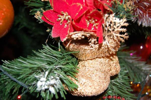 ����� ���