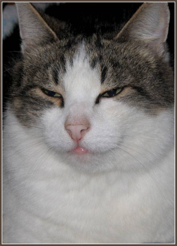 ����-���.