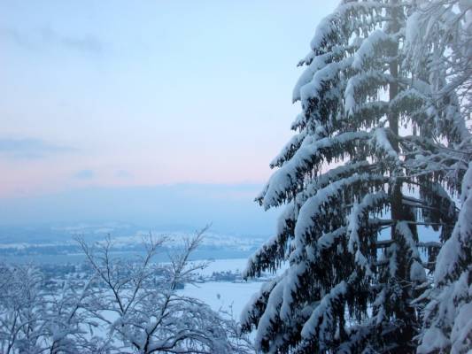 ��������� �����:)