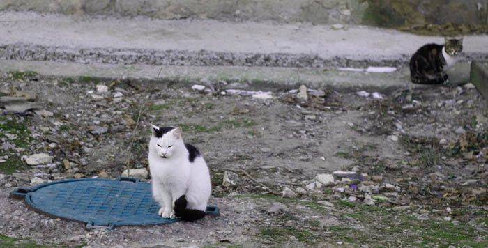 ������ ������ �������