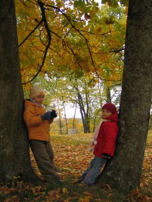 ����� ������� �����