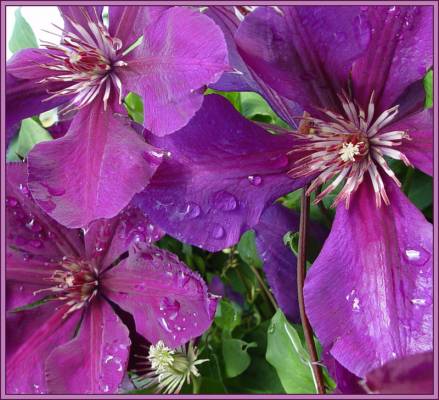 ��������.