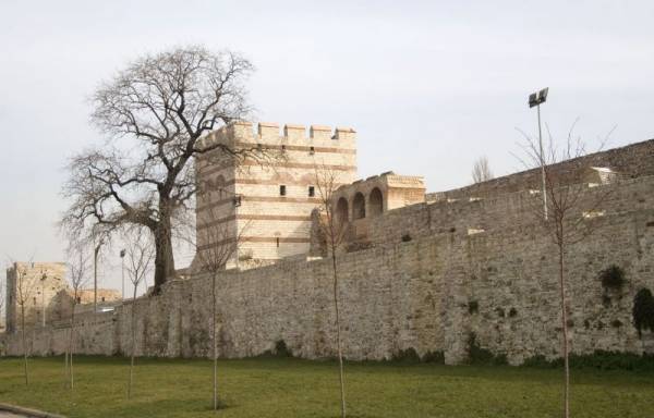 ����� ��������� ����