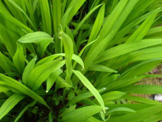 �������� � ��������� 