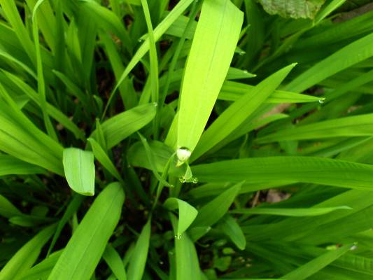 �������� � ��������� 2