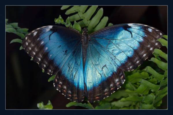 ����� � ������...