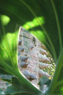 � � ���� ����� ����?