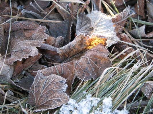 ��������� �����