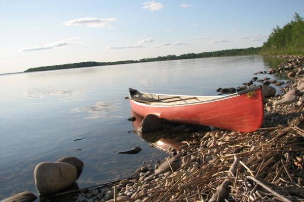 � ������ ...