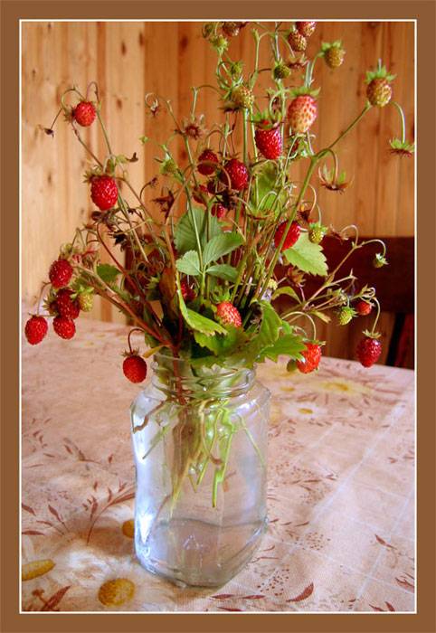 ����� ����.