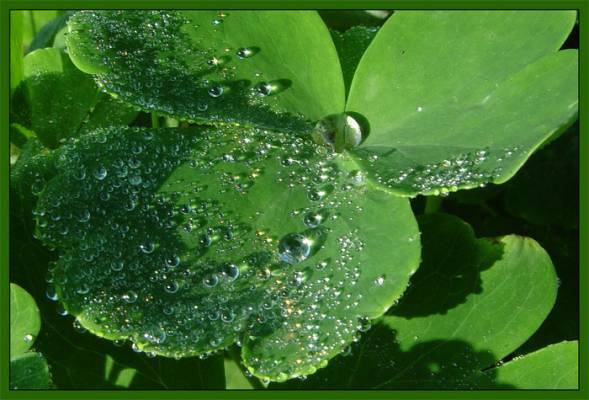 ����-�����-2.