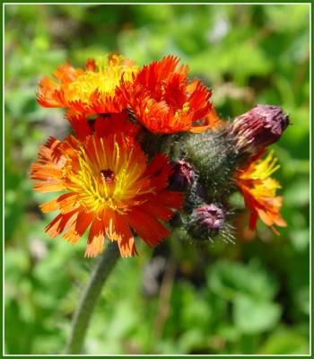 ���� ������.