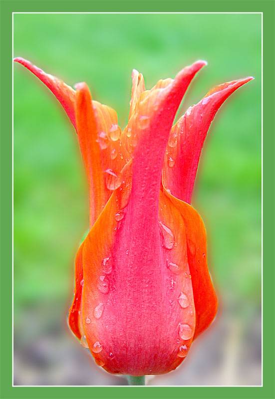 �������.