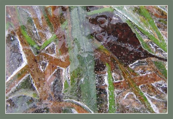 �������������� ����.