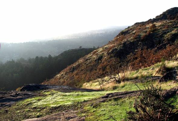 �������� ������ 1