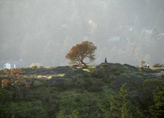 �������� ������ 2