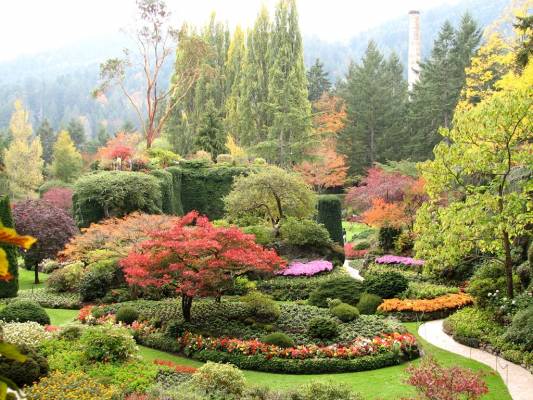 �.��������. ������������ ��� 