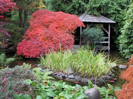 �������� ���. 