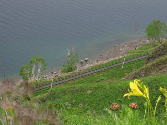 ������ ������