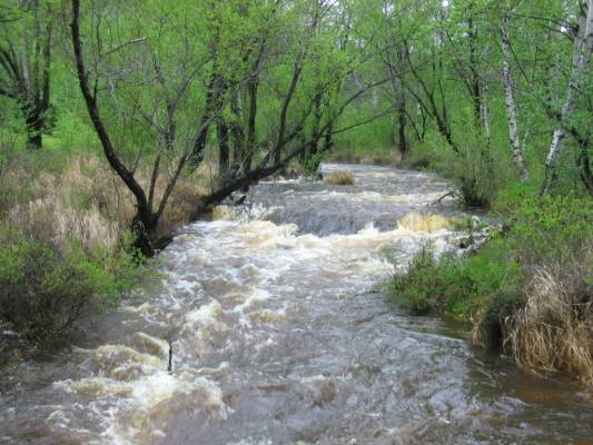 ������ ����� �����