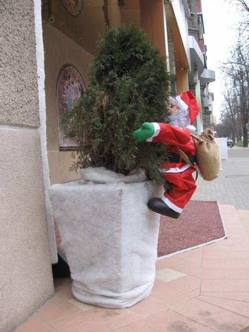 �����-��������