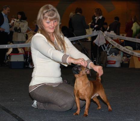 Latvian Winner-2008 15-16 marz. ������ ������ �������� � ������� ��������.