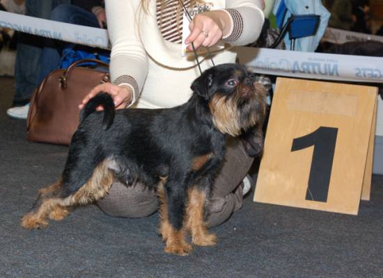 Latvian Winner-2008 15-16 marz. ������ ������ �������� � ������� ��������.