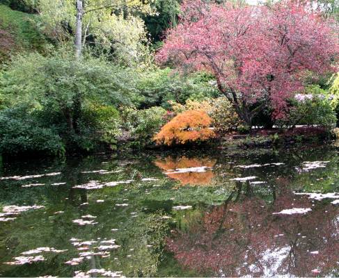 ��������� ����� -������ 1