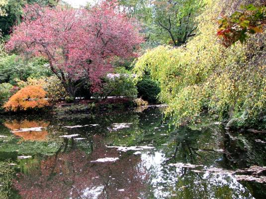 ��������� ����� - ������ 2