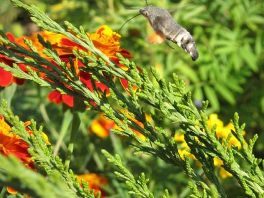 �������