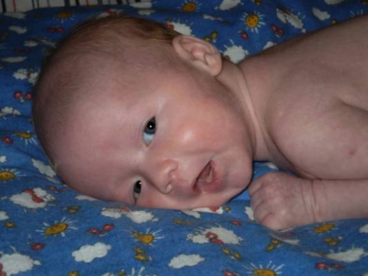 1,5 ������