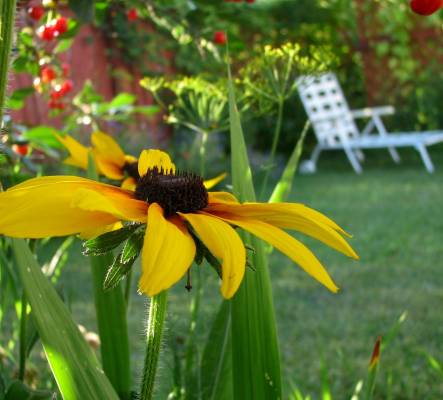 � � ��� � �������