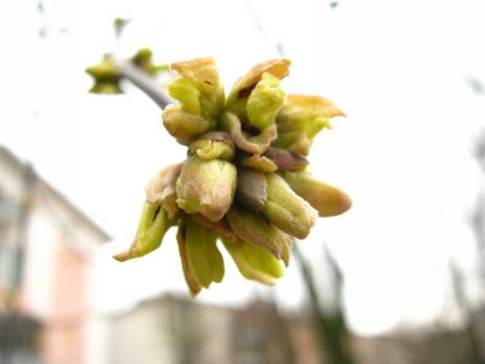 �������� ������� ������